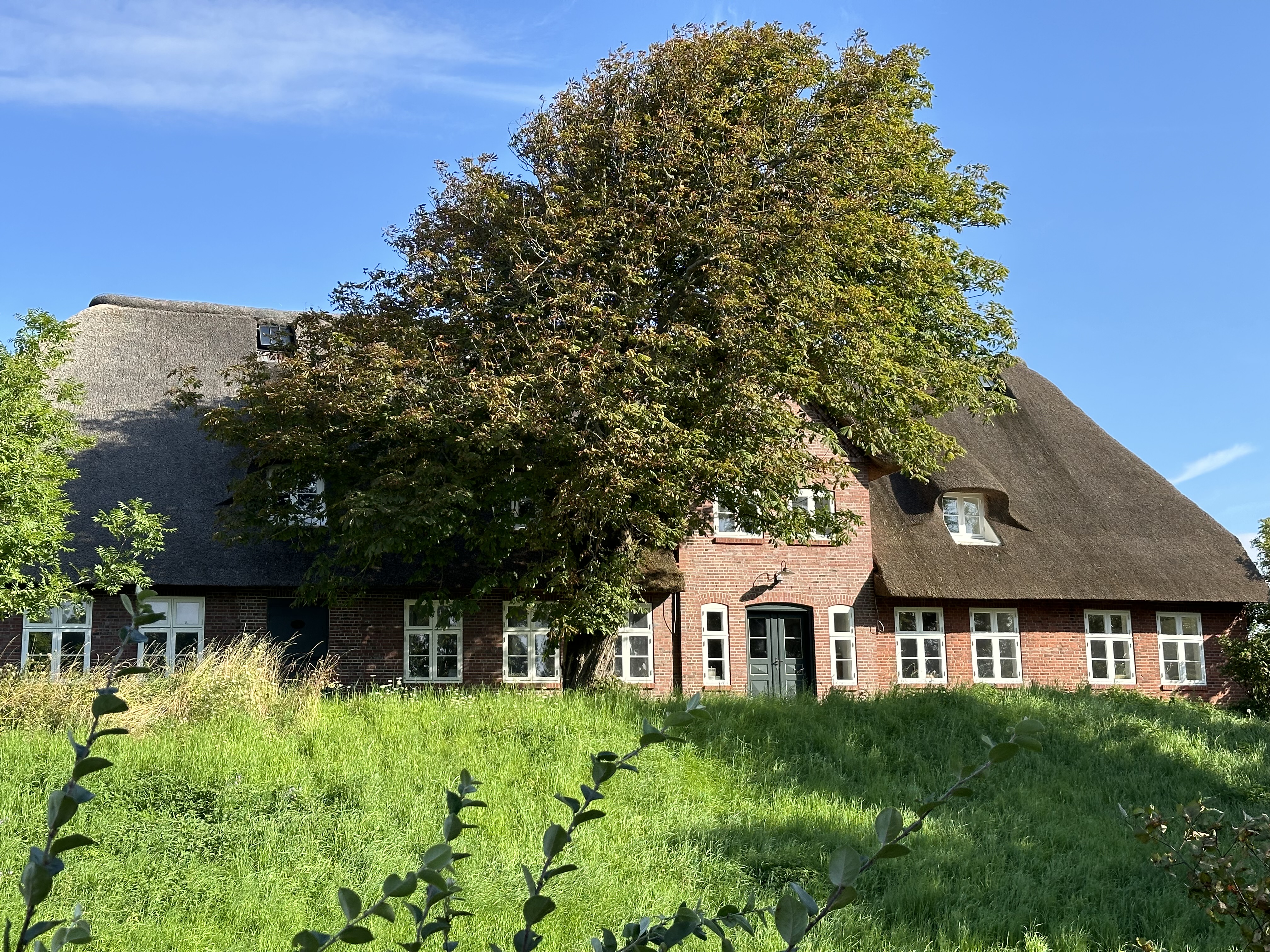 Catharinenwarft